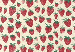 Apparaatrol Strawberry 200mx30cm 1 Rol