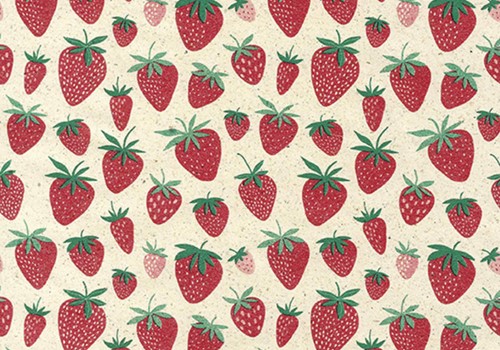 Apparaatrol Strawberry 200mx50cm 1 Rol
