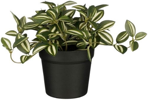 Kunstplant Mica Tradescantia in pot groen 1 Stuk