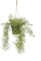 Kunstplant Mica Rhipsalis hangend in pot groen 1 Stuk