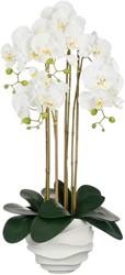 Kunstplant Mica Phalaenopsis in pot wit 1 Stuk
