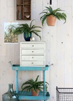 Kunstplant Mica Boston varen groen in pot 1 Stuk-2