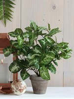 Kunstplant Mica Syngonium groen in pot 1 Stuk-3
