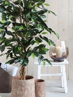 Kunstplant Mica Ficus groen in pot 1 Stuk-3