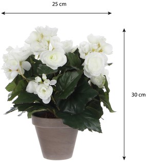 Kunstplant Mica Begonia wit in pot Stan grijs 1 Stuk-1