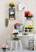 Kunstplant Mica Begonia wit in pot Stan grijs 1 Stuk-2