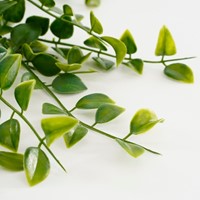 Kunstplant Mica Ficus hangend in pot groen 1 Stuk-2