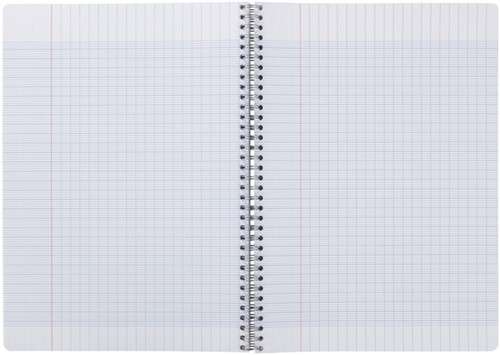 Schrift Clairefontaine 170x220 mm séyès 90 pagina's 90 gram assorti-3