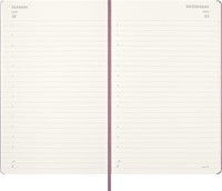 Agenda 2027 Msk Plan Day large hc majestic pink 1 Stuk-3