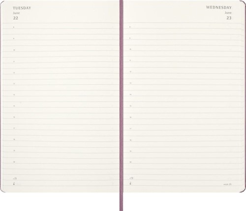 Agenda 2027 Msk Plan Day large hc majestic pink 1 Stuk-3