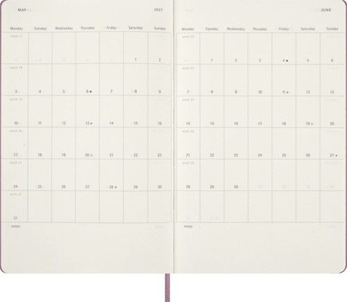 Agenda 2027 Msk Plan Day large hc majestic pink 1 Stuk-1