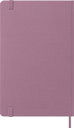 Agenda 2027 Msk Plan Day large hc majestic pink 1 Stuk-4