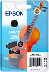 Inktcartridge Epson 250 T16N14 zwart 1 Stuk