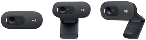 Webcam Logitech C505e 1 Stuk