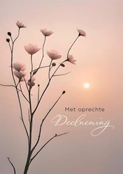 Wenskaart Hallmark condoleance bloemen 6 stuks 6 Stuk