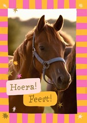 Wenskaart Hallmark uitnodiging paarden 6 stuks 6 Stuk