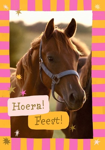 Wenskaart Hallmark uitnodiging paarden 6 stuks 6 Stuk
