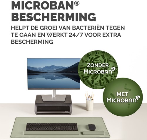 Polssteun Fellowes Breyta palm saliegroen 1 Stuk-2