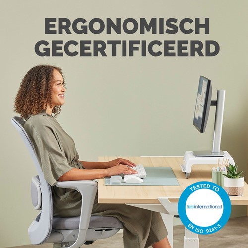 Polssteun Fellowes Breyta palm saliegroen 1 Stuk-4