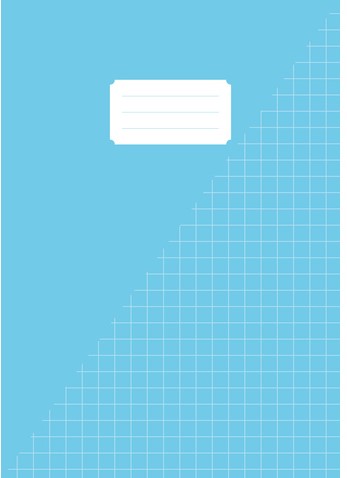 Schrift Kangaro A4 ruit 10mm 160p 60gr 5st pa ass 5 Stuk-2