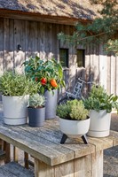 Plantenpot Mica Coco met schotel rond hoogte 23,5 Ø22,5 cm antraciet-2
