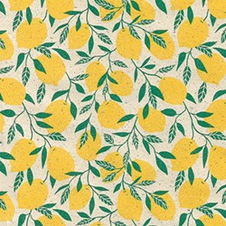 Apparaatrol Little Lemon 30cmx200m