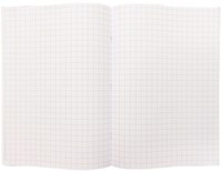 Schrift Kangaro A4 ruit 10mm 80 pagina's 60gr assorti pak  à 5 stuks-1