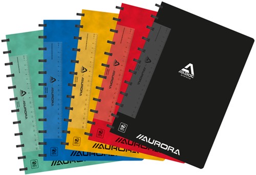 Schrift Adoc Classic A4 ruit 4x8mm 144 pagina's 90gr assorti