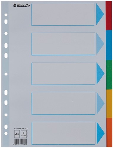 Tabbladen Esselte Stand A4 5dlg karton 11r ass 1 Set