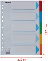 Tabbladen Esselte Stand A4 5dlg karton 11r ass 1 Set-5