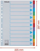 Tabbladen Esselte Stand A4 12dlg karton 11r ass 1 Set-5