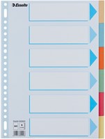 Tabbladen Esselte premium A4 6dlg karton 23r ass 1 Stuk