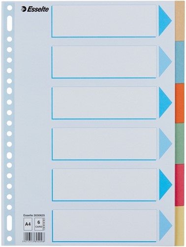 Tabbladen Esselte premium A4 6dlg karton 23r ass 1 Stuk