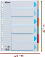 Tabbladen Esselte premium A4 6dlg karton 23r ass 1 Stuk-2