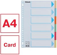 Tabbladen Esselte premium A4 6dlg karton 23r ass 1 Stuk-6