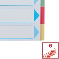 Tabbladen Esselte premium A4 6dlg karton 23r ass 1 Stuk-7