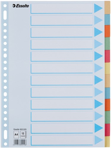 Tabbaden Esselte premium A4 12dlg karton 23r ass 1 Stuk