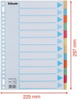 Tabbaden Esselte premium A4 12dlg karton 23r ass 1 Stuk-2