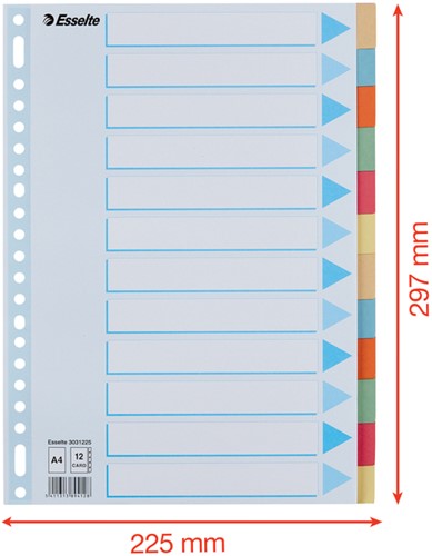 Tabbaden Esselte premium A4 12dlg karton 23r ass 1 Stuk-2