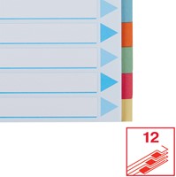 Tabbaden Esselte premium A4 12dlg karton 23r ass 1 Stuk-1