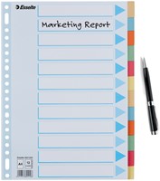 Tabbaden Esselte premium A4 12dlg karton 23r ass 1 Stuk-3