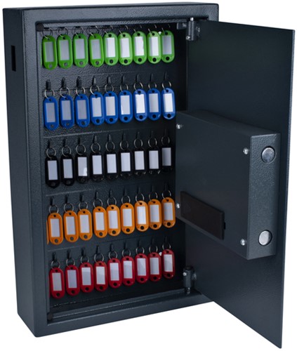 Sleutelkast Pavo fingerprint 50 haken donkergrijs 1 Stuk-2