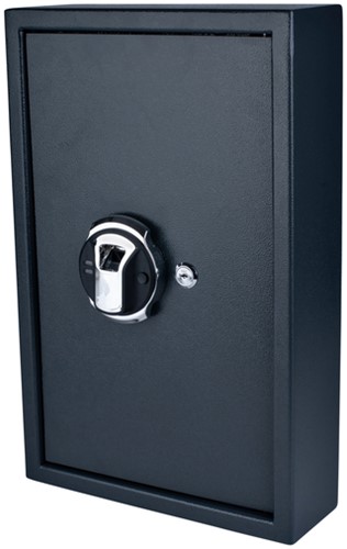 Sleutelkast Pavo fingerprint 50 haken donkergrijs 1 Stuk-3