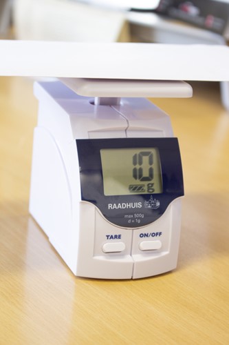 Briefweger Raadhuis digitaal wit 1 Stuk-3