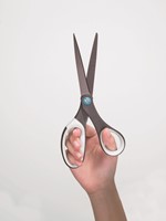 Schaar Scotch 20cm titanium blister-1