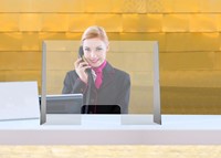 HYGIENESCHERM OPUS 2 OPVOUWBAAR 4MM 900 X 650MM  1 STUK