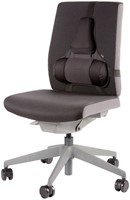 Rugsteun Fellowes pro series ultieme 1 Stuk-1