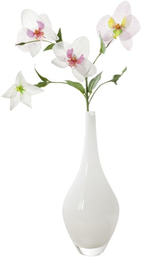 Transparant papier Folia A4 115gr 10 vel wit 10 Vel-3