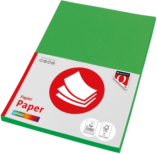 Kopieerpapier Quantore Col-100 A4 120gr grasgroen 100 Vel