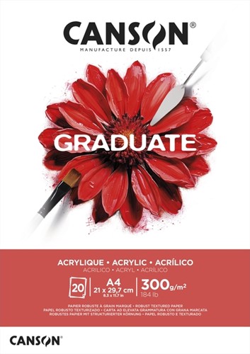 Schilderpapier Canson Graduate 20vel 290gr A4 wit 1 Stuk